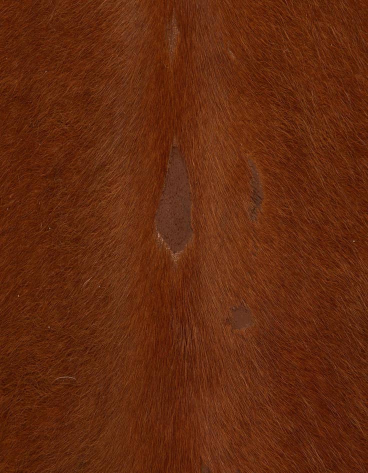 Detail image of  6' 7 x 6' 10 Cowhide Leather Square Rug