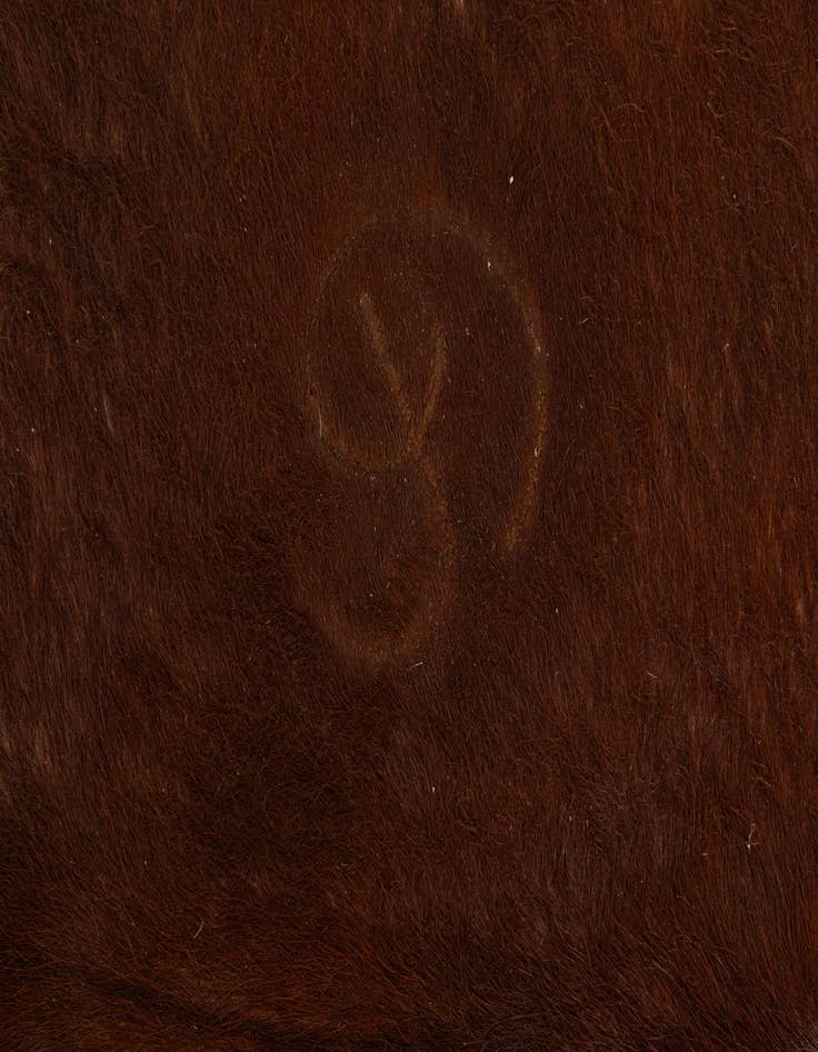 Detail image of  6' 1 x 6' 1 Cowhide Leather Square Rug