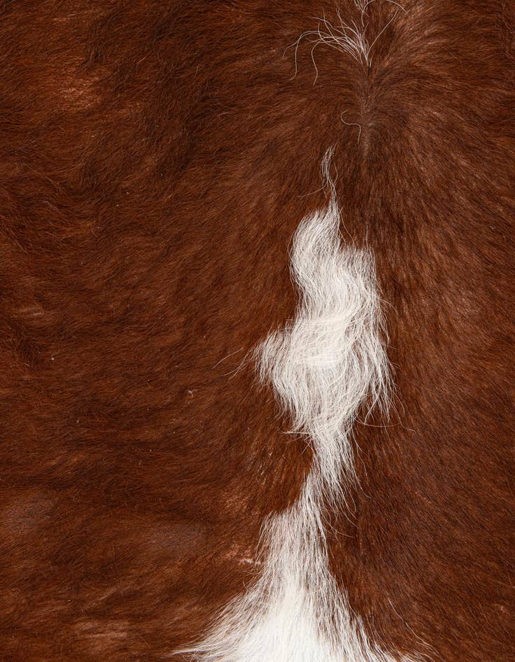 Detail image of  7' x 7' 1 Cowhide Leather Square Rug