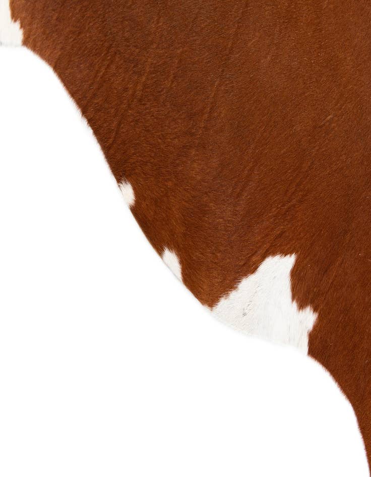 Detail image of  4' 9 x 5' Cowhide Leather Square Rug