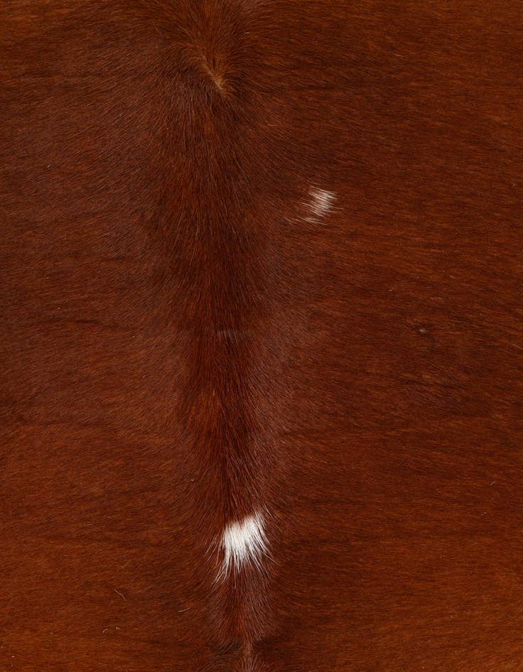 Detail image of  4' 9 x 5' Cowhide Leather Square Rug