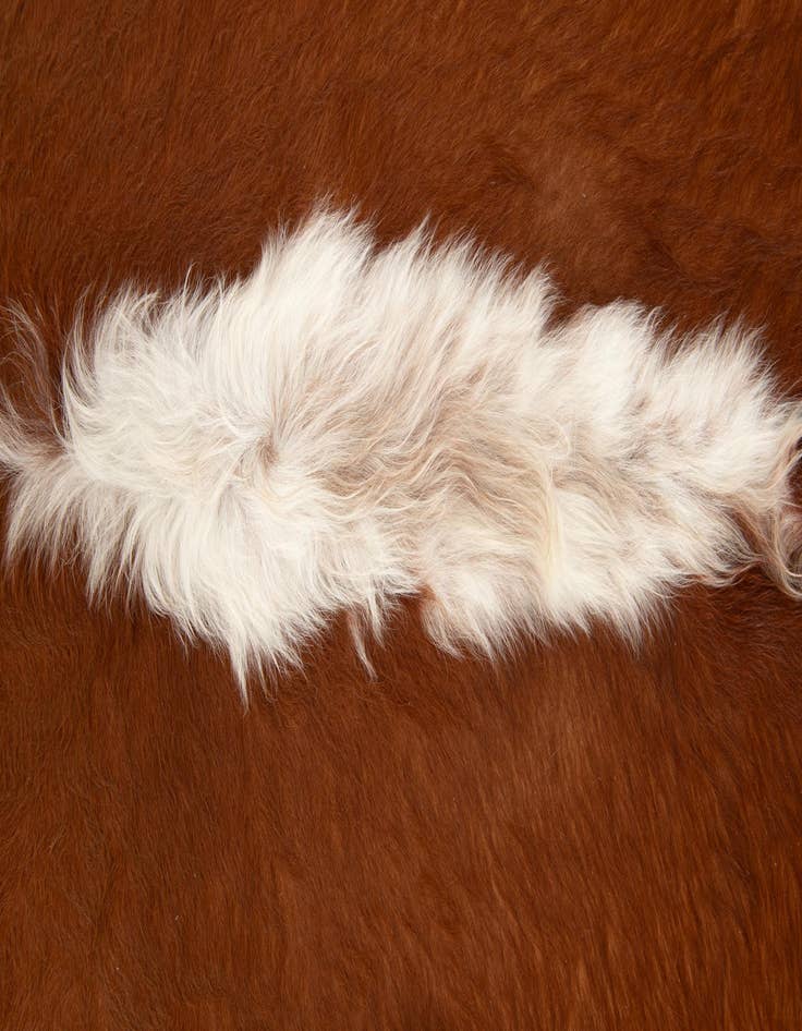 Detail image of  6' 2 x 6' 11 Cowhide Leather Square Rug