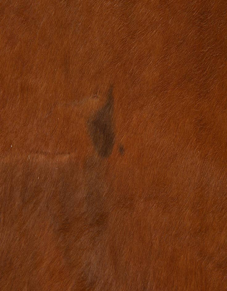 Detail image of  5' 9 x 6' 1 Cowhide Leather Square Rug
