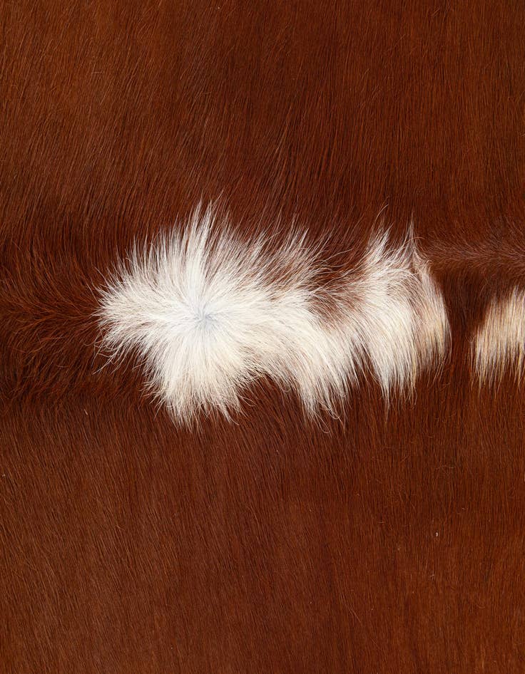 Detail image of  6' x 6' 2 Cowhide Leather Square Rug