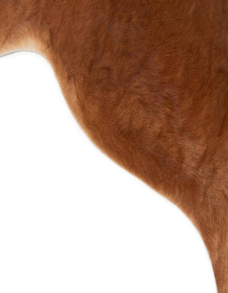 Detail image of  6' 3 x 6' 8 Cowhide Leather Square Rug