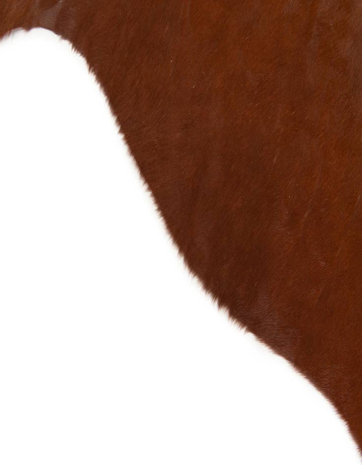 Detail image of  5' 1 x 5' 4 Cowhide Leather Square Rug