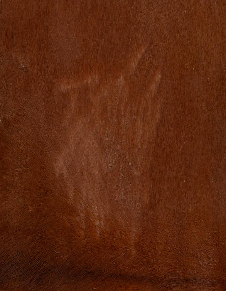 Detail image of  5' 1 x 5' 4 Cowhide Leather Square Rug