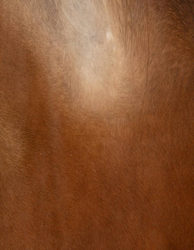 Detail image of  6' 4 x 6' 11 Cowhide Leather Square Rug