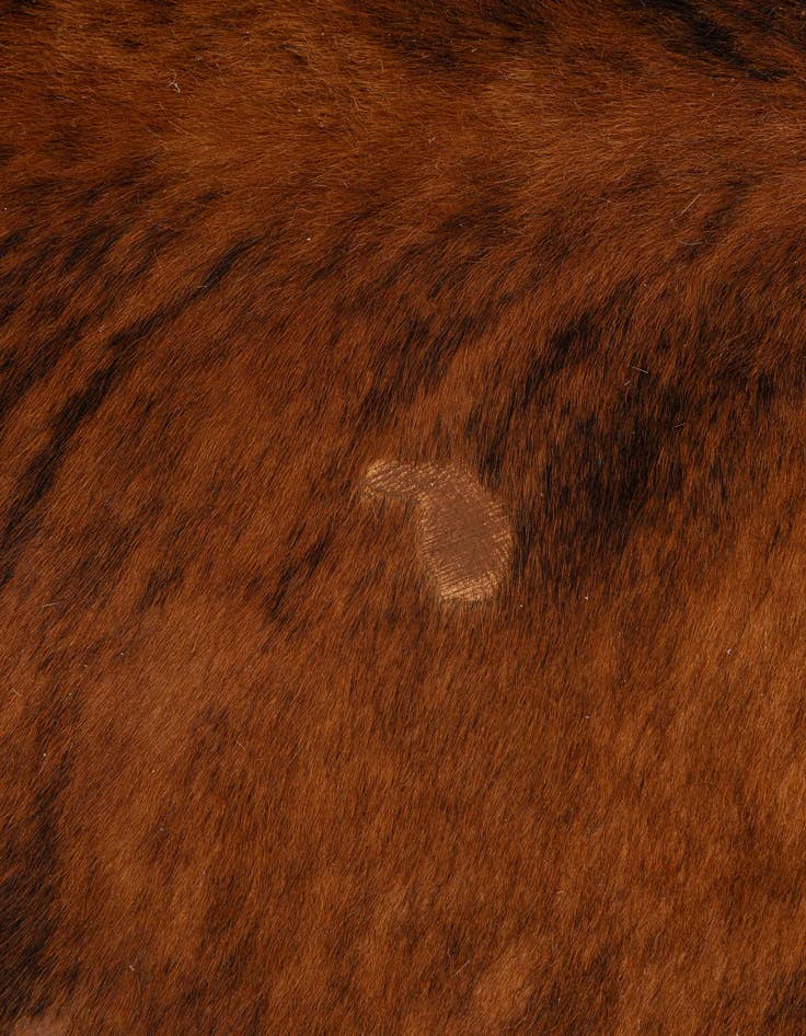 Detail image of  5' 3 x 5' 8 Cowhide Leather Square Rug