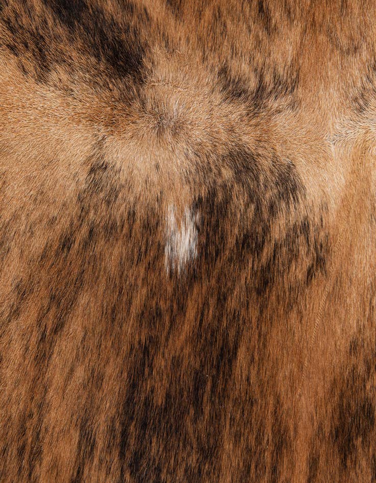 Detail image of  4' 10 x 5' 3 Cowhide Leather Square Rug