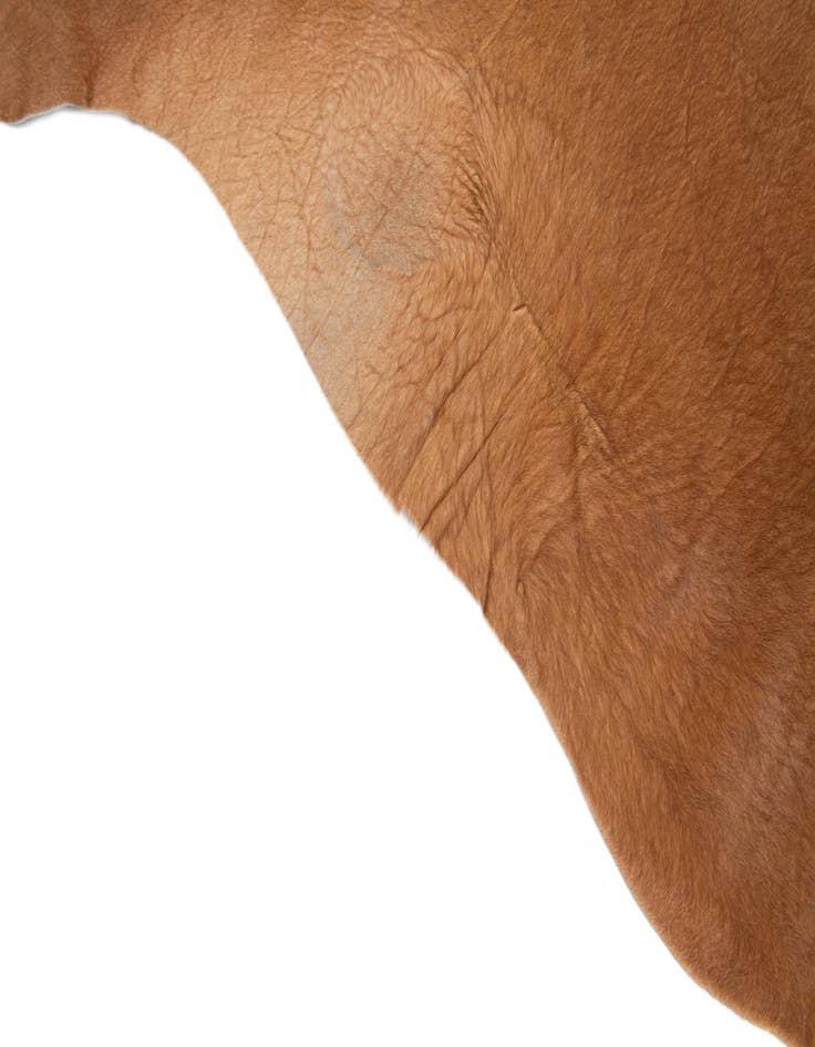 Detail image of  6' 5 x 6' 8 Cowhide Leather Square Rug