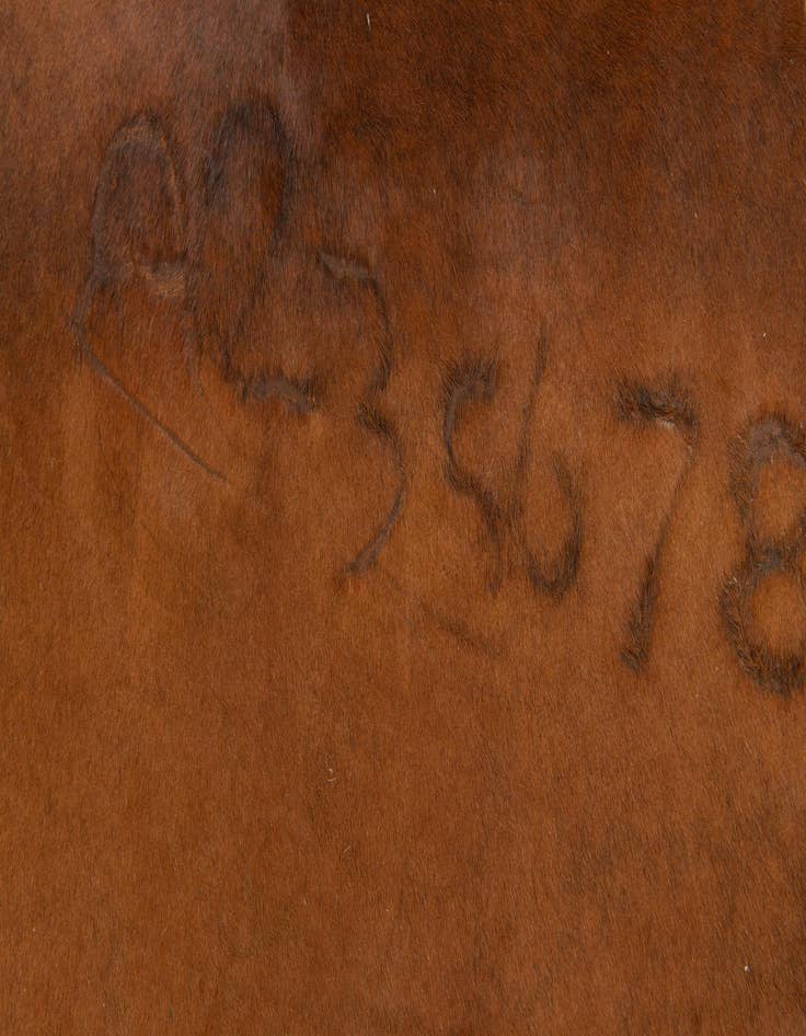 Detail image of  5' 2 x 5' 3 Cowhide Leather Square Rug
