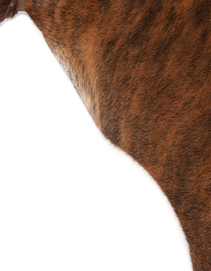 Detail image of  5' 8 x 6' 2 Cowhide Leather Square Rug