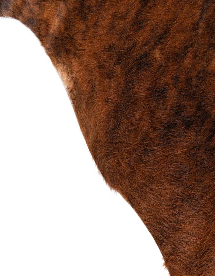 Detail image of  5' 8 x 5' 10 Cowhide Leather Square Rug