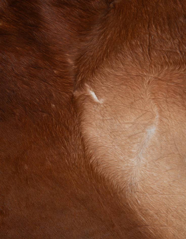 Detail image of  7' x 7' 5 Cowhide Leather Square Rug