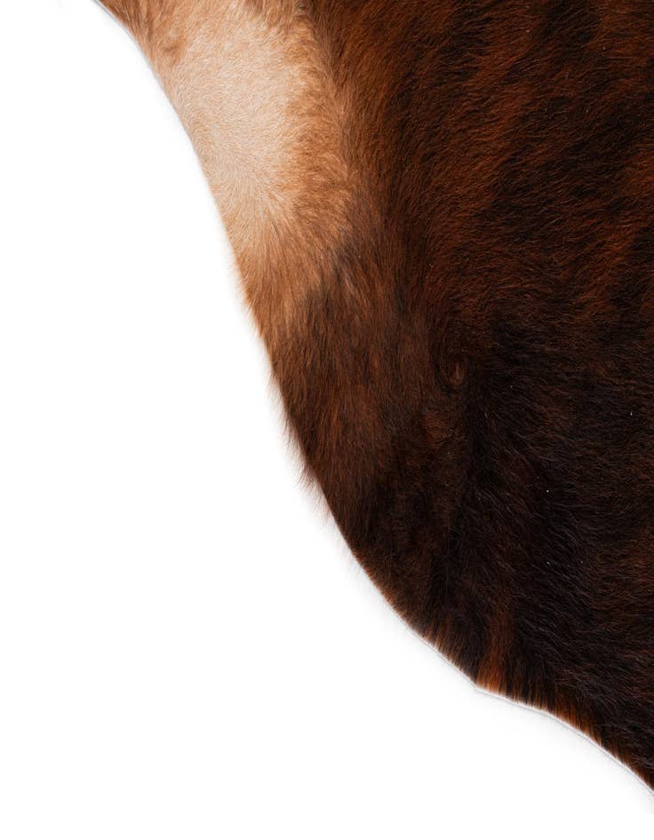 Detail image of  6' 3 x 6' 3 Cowhide Leather Square Rug