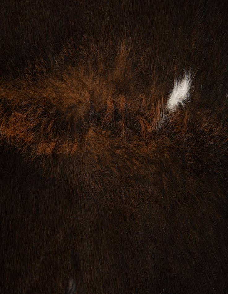 Detail image of  6' 1 x 6' 8 Cowhide Leather Square Rug