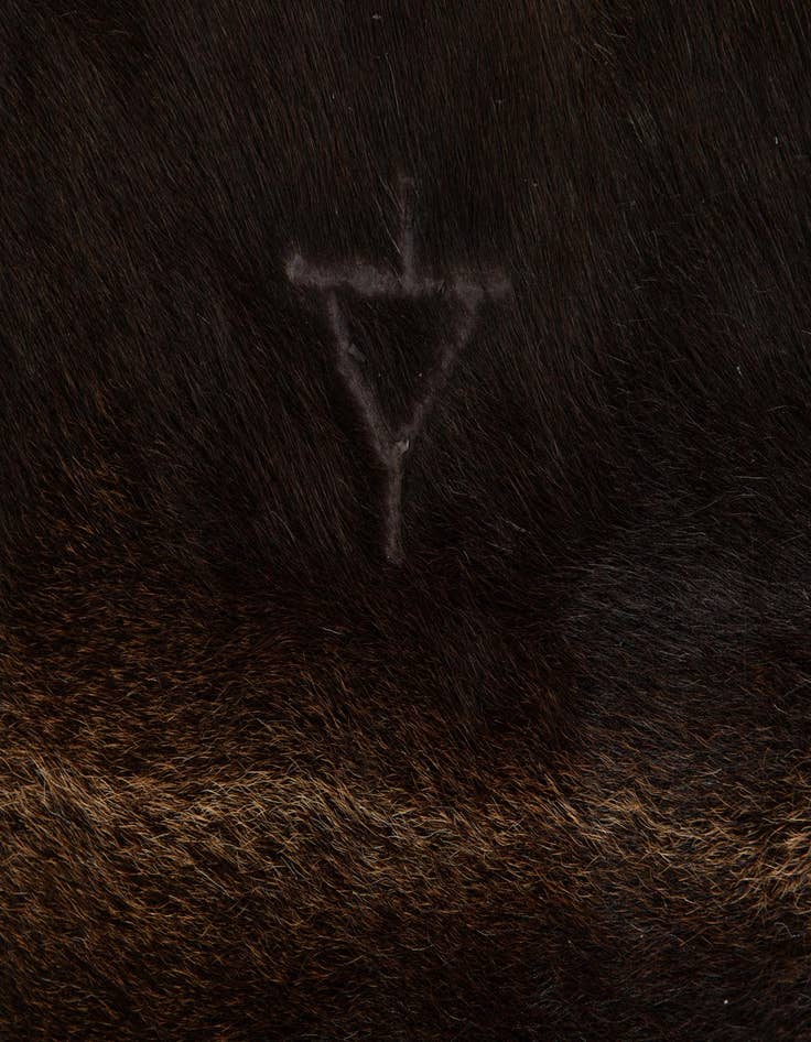 Detail image of  5' 3 x 5' 10 Cowhide Leather Square Rug