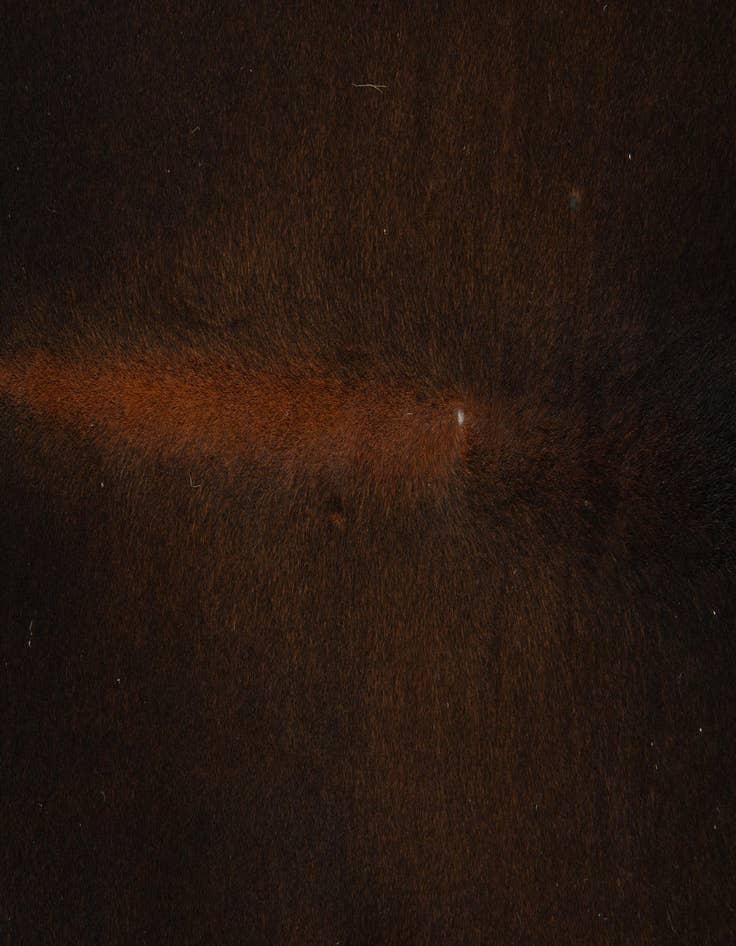 Detail image of  5' 5 x 5' 9 Cowhide Leather Square Rug