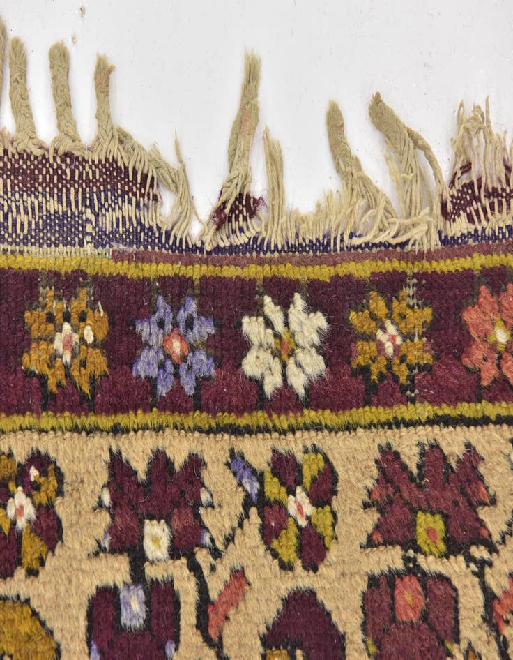 Detail image of  4' x 7'  Hand Knotted Anatolian Oriental Wool Rug