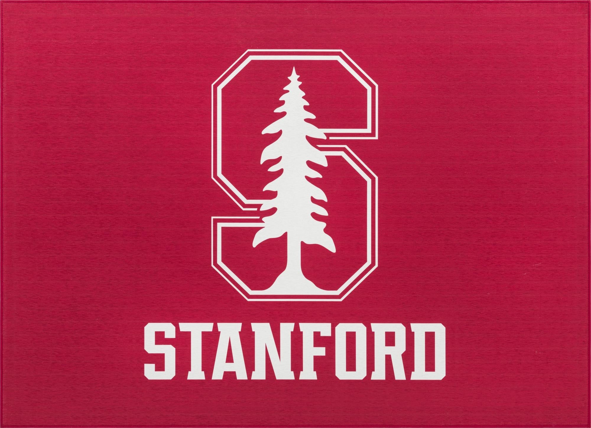  5' x 7' College Collection Rug