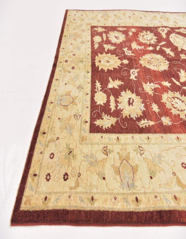 Detail image of  6' x 8' 4  Hand Knotted Peshawar Ziegler Rug