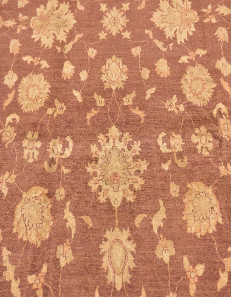 Detail image of  8' 2 x 12' 2  Hand Knotted Peshawar Ziegler Rug