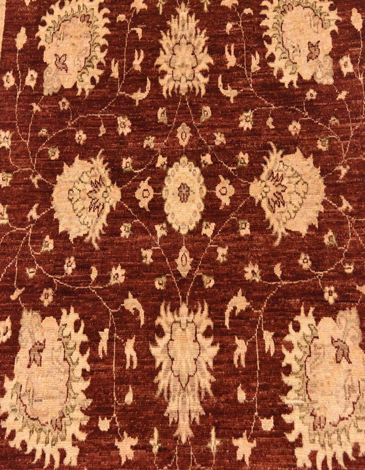 Detail image of  5' 8 x 7' 8  Hand Knotted Peshawar Ziegler Rug