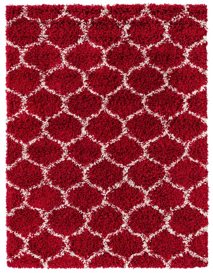 Detail image of  4' x 6' Lattice Shag Rug