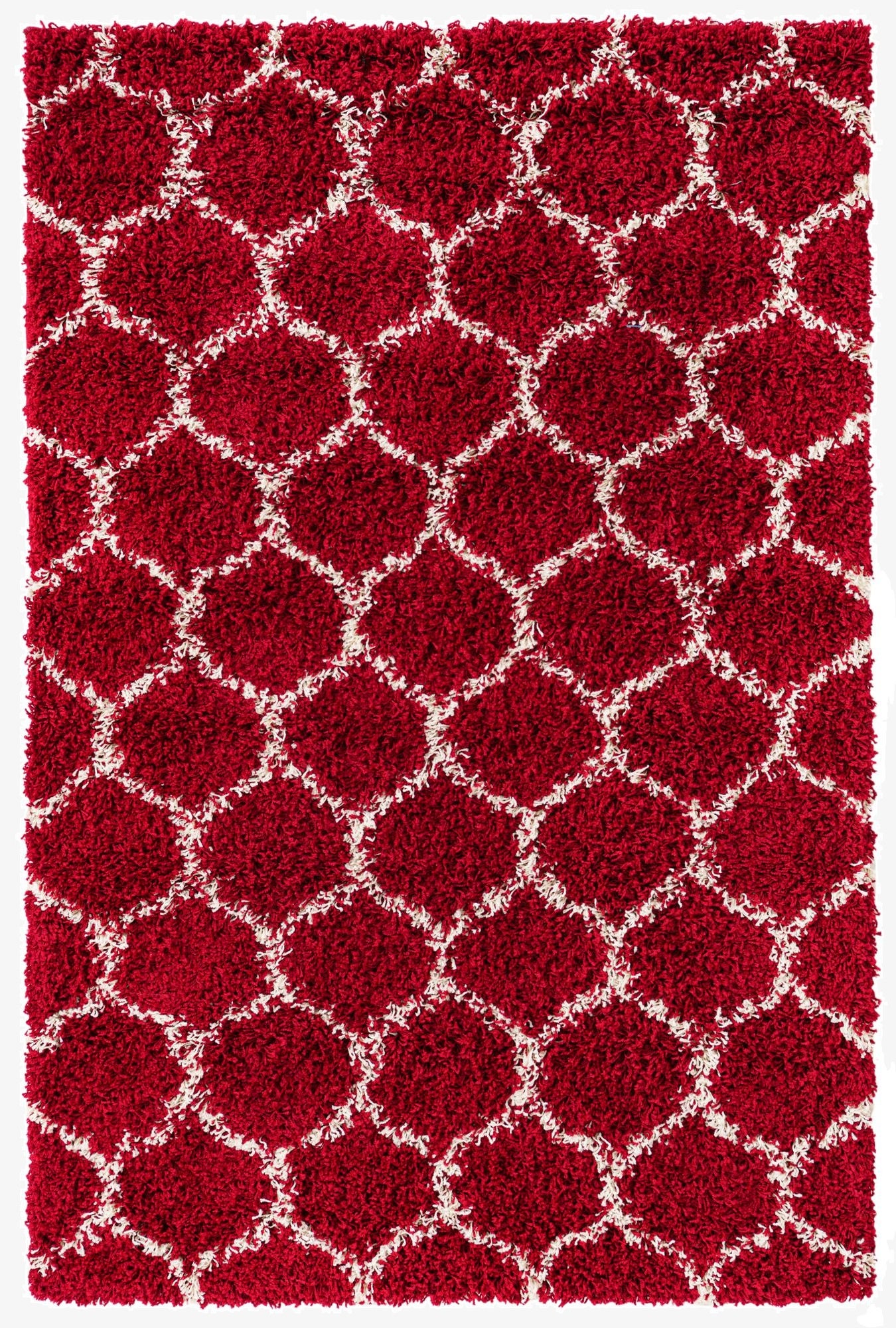  4' x 6' Lattice Shag Rug