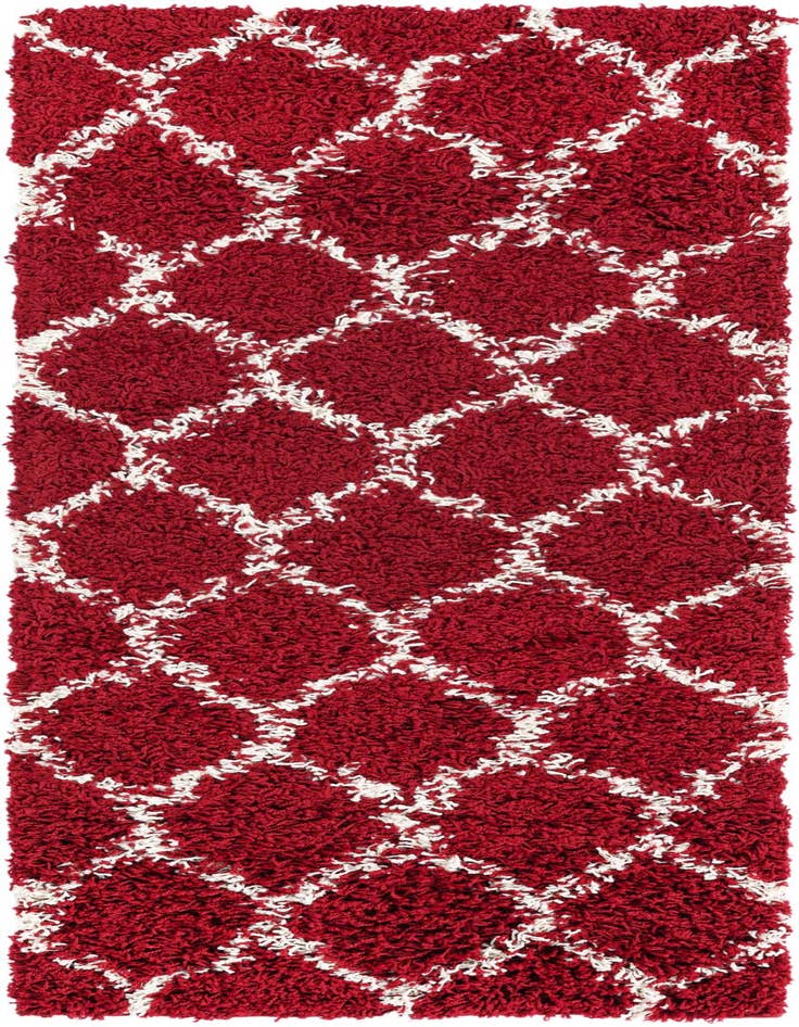 Detail image of  2' x 5' Lattice Shag Runner Rug