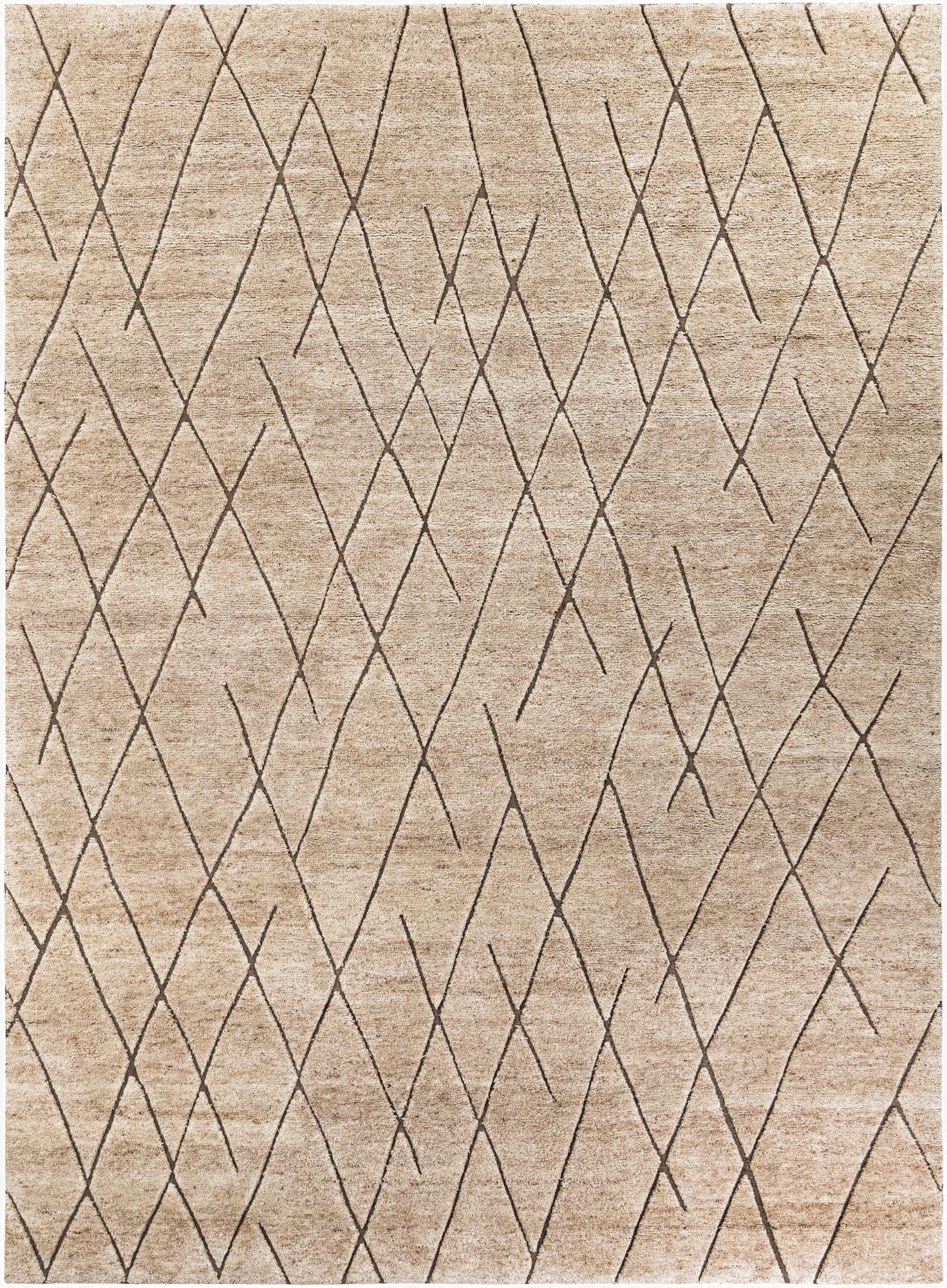 Primary image  10' x 14' 1 Atlas Moroccan Wool Rug