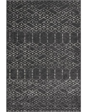 4' x 6' Paxon Trellis Rug