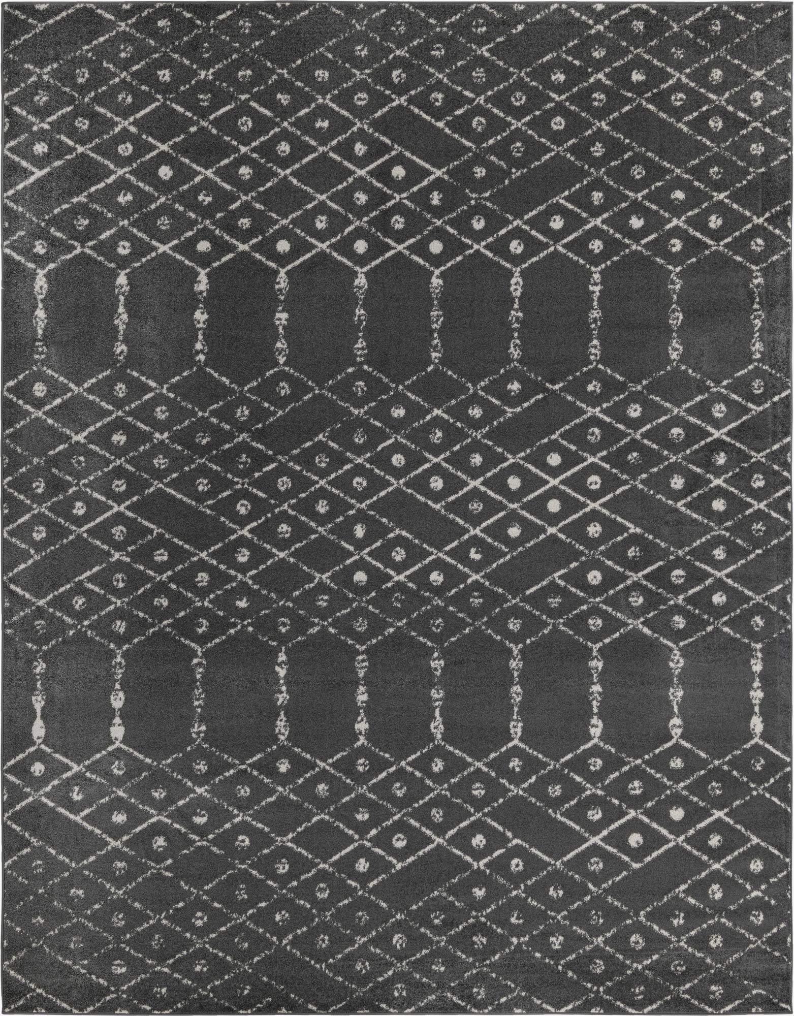  10' x 13' Paxon Trellis Rug