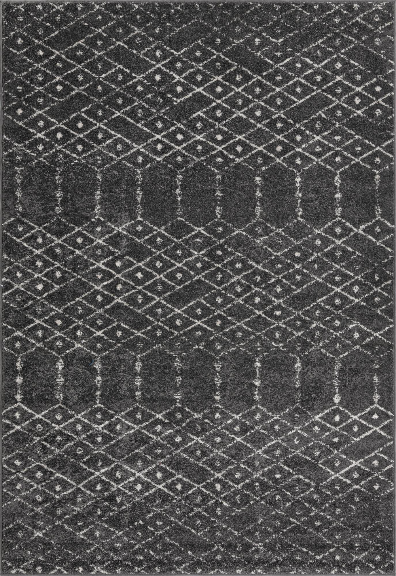 Primary image  6' x 9' Paxon Trellis Rug