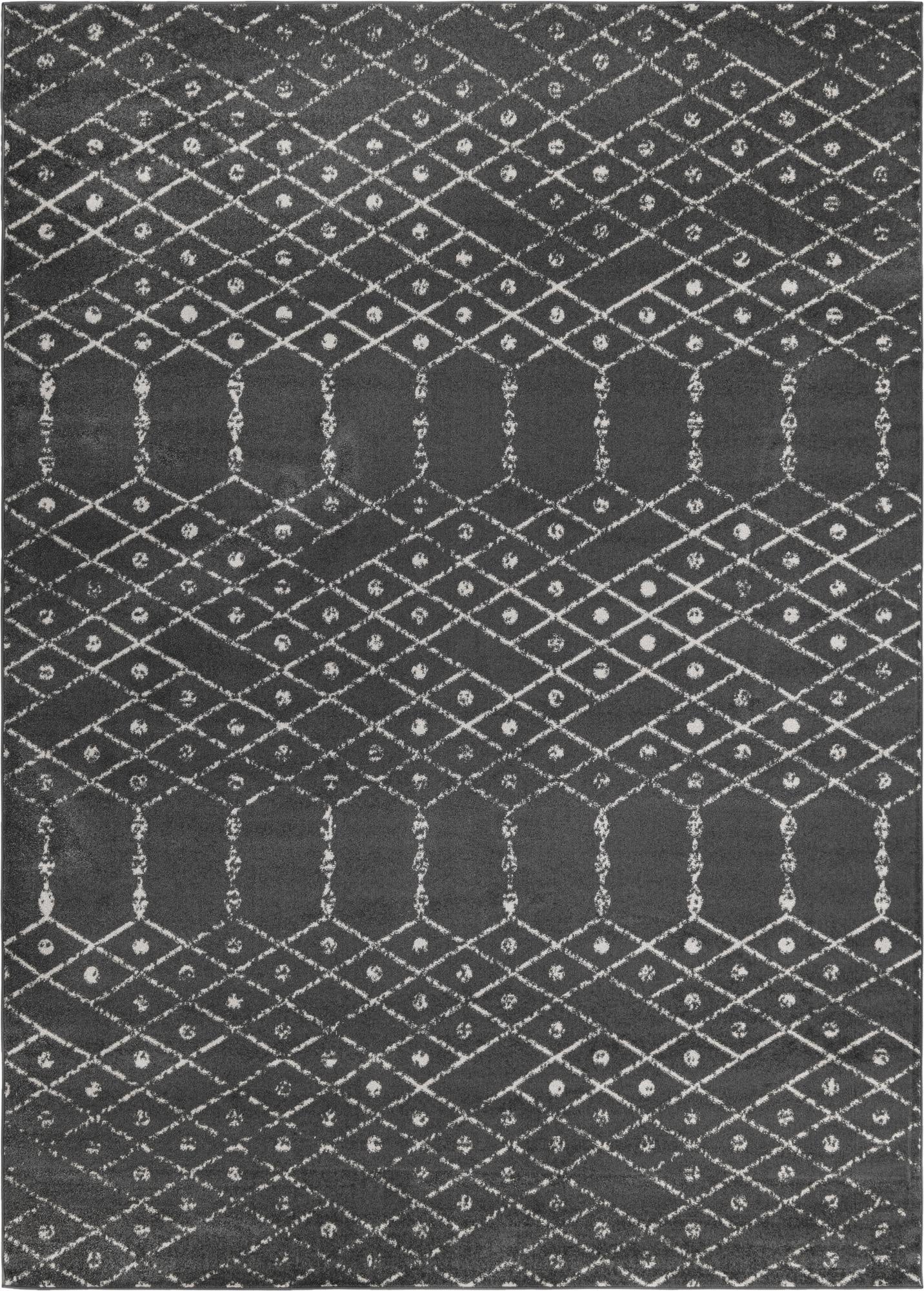  10' x 14' Paxon Trellis Rug