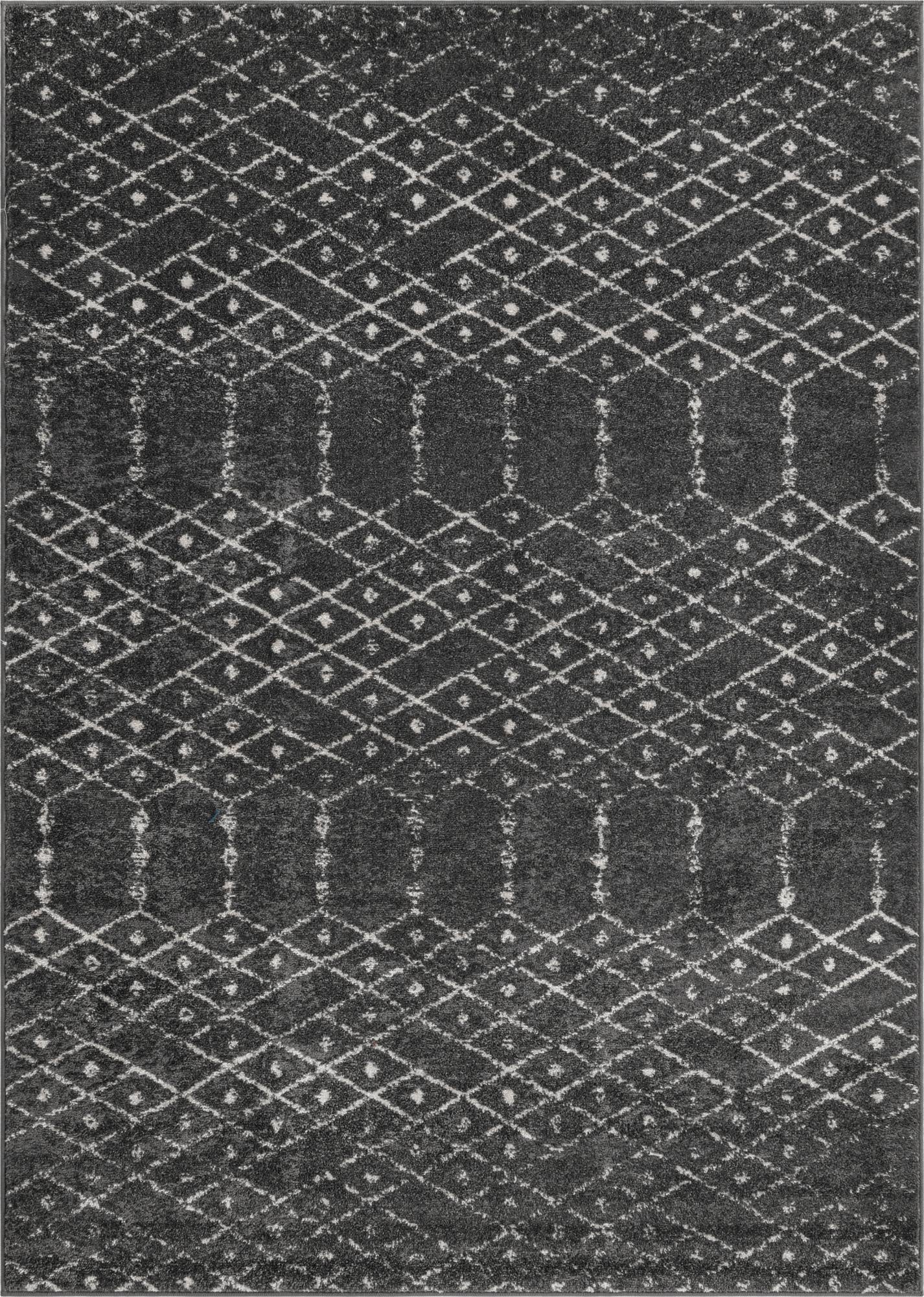 Primary image  7' x 10' Paxon Trellis Rug
