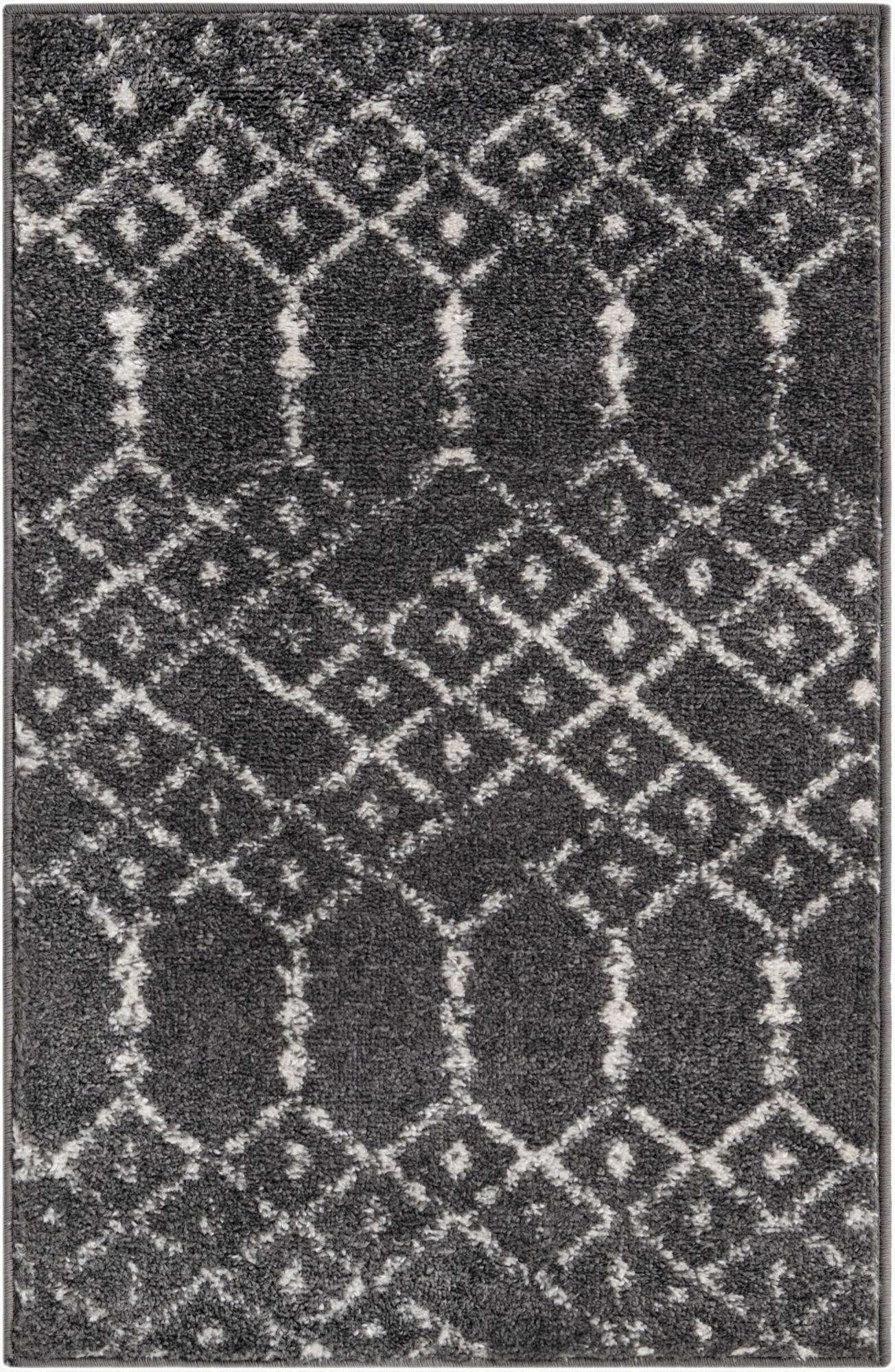  2' x 3' Paxon Trellis Rug
