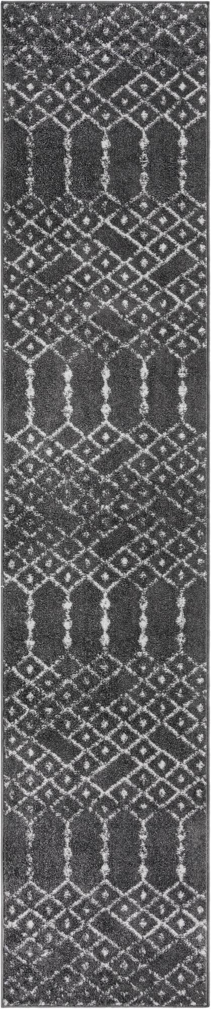 Primary image  2' x 9' 10 Paxon Trellis Runner Rug