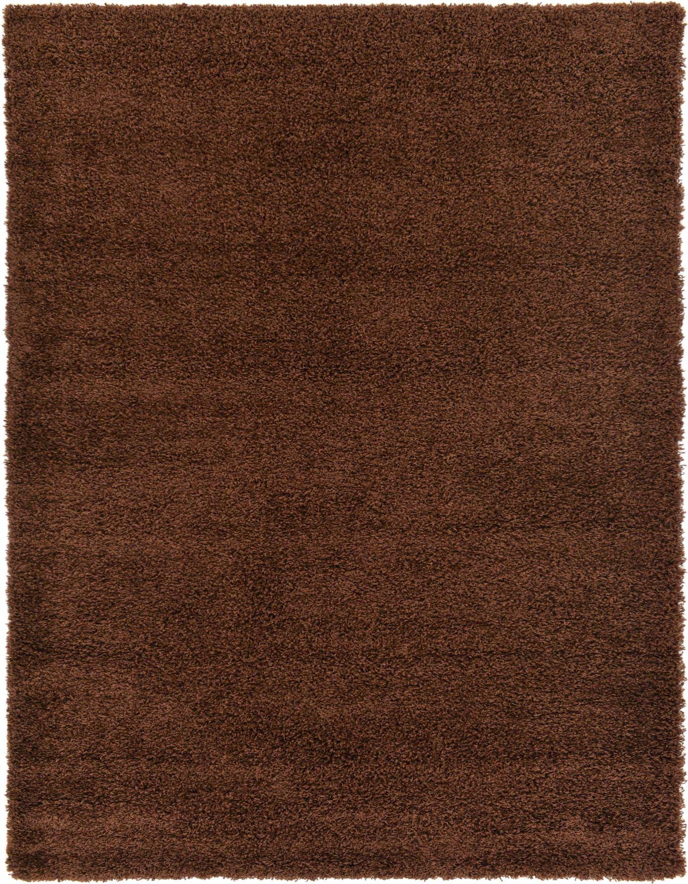 A rectangular brown shag runner rug with a deep, textured pile, perfect for a hallway or entryway.
