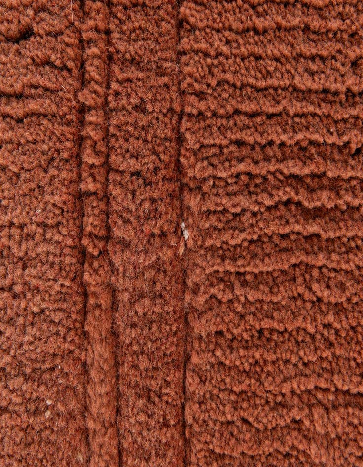 Detail image of  3' 1 x 5' 3  Hand Knotted Tibet Wool Rug