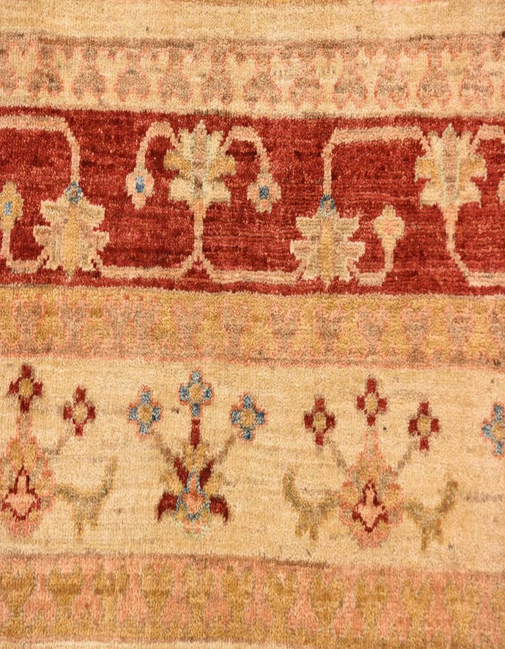 Detail image of  8' 3 x 11' 11  Hand Knotted Ariana Ziegler Oriental Rug
