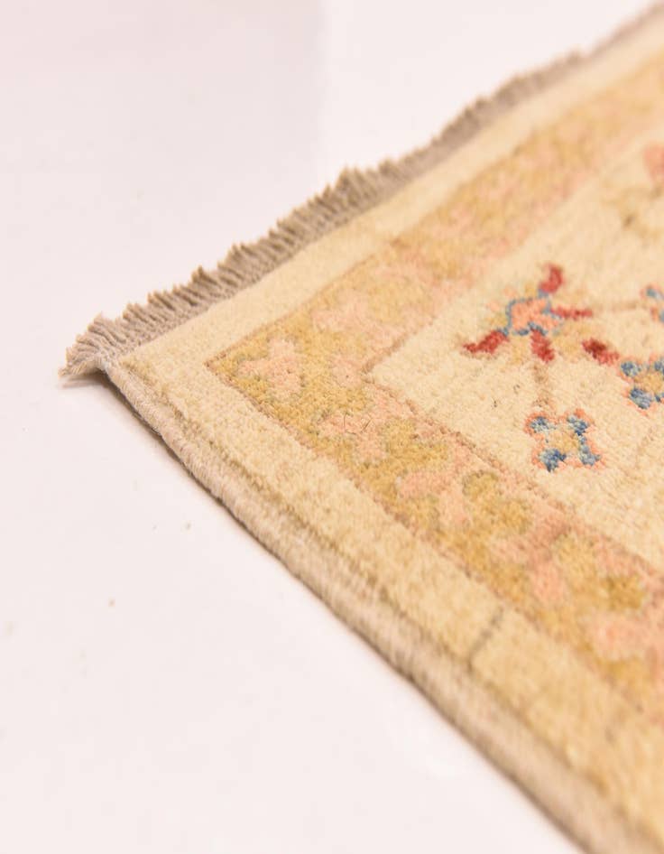 Detail image of  8' 3 x 11' 11  Hand Knotted Ariana Ziegler Oriental Rug