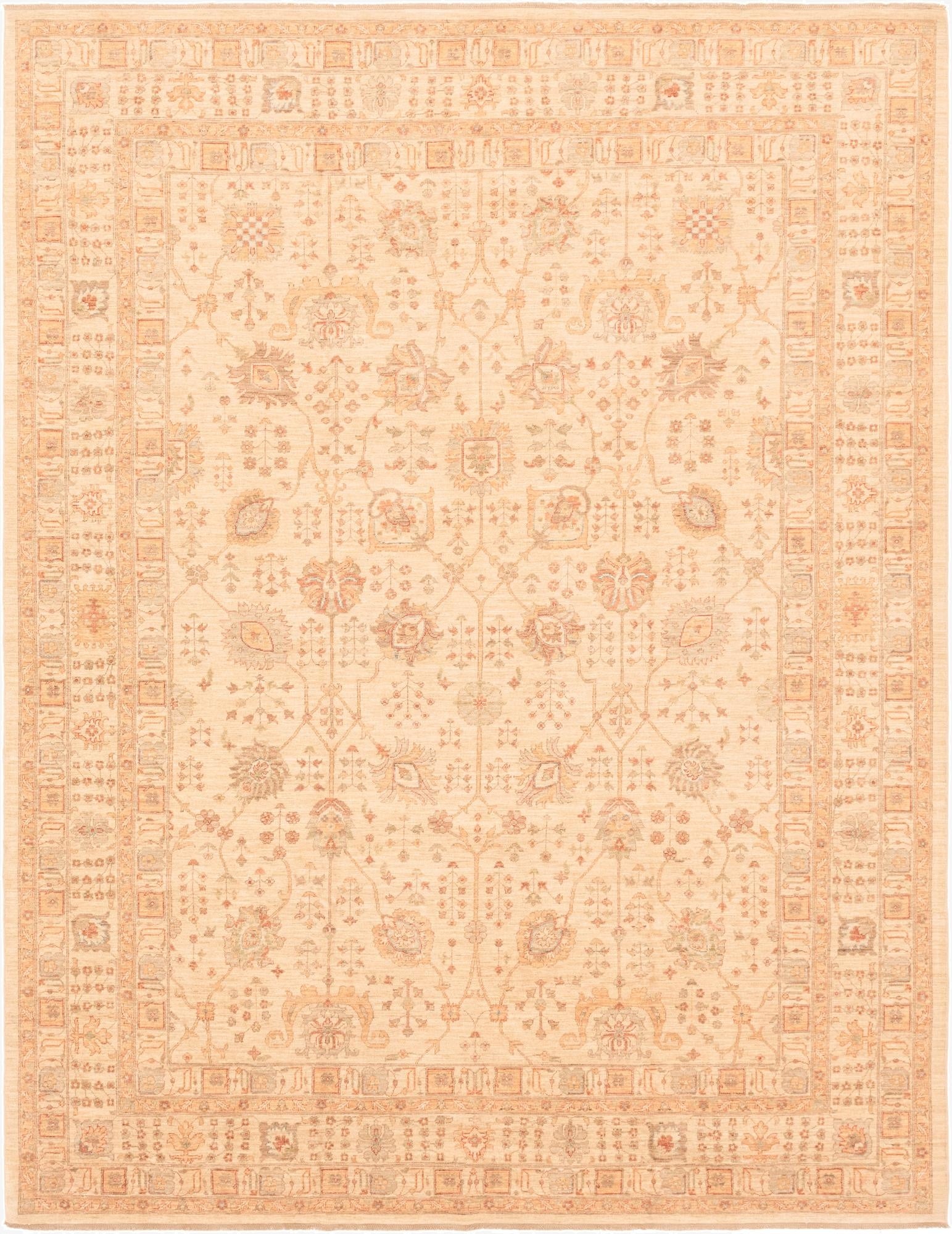  10' 1 x 13' 1  Hand Knotted Ariana Ziegler Rug