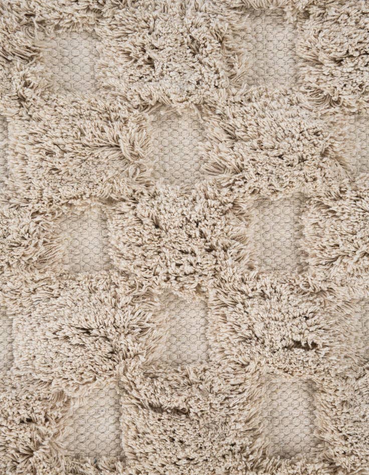 Detail image of  2' x 3' 2  Hand Woven Arizona Wool Rug