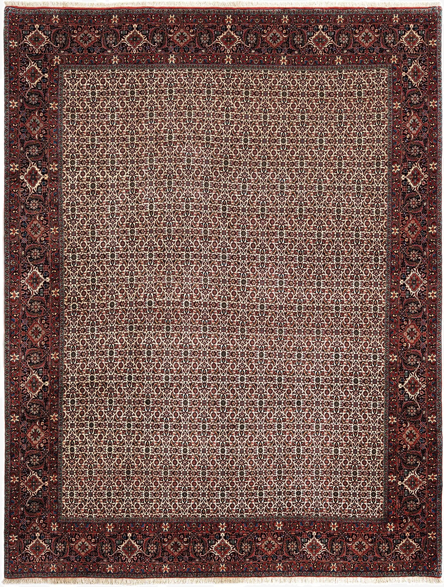  8' 5 x 11' 1 Bidjar Wool Rug