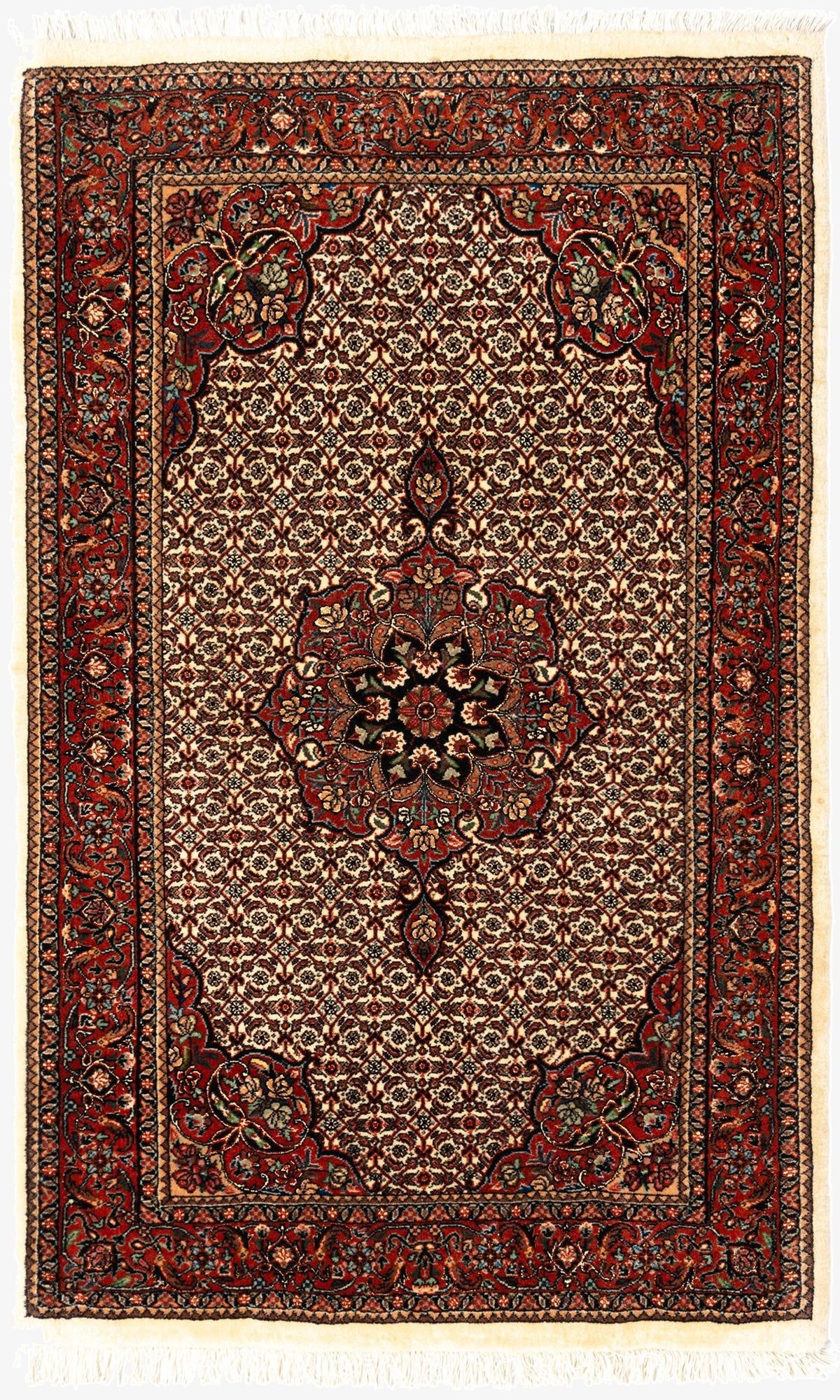  2' 10 x 4' 7 Bidjar Wool Rug