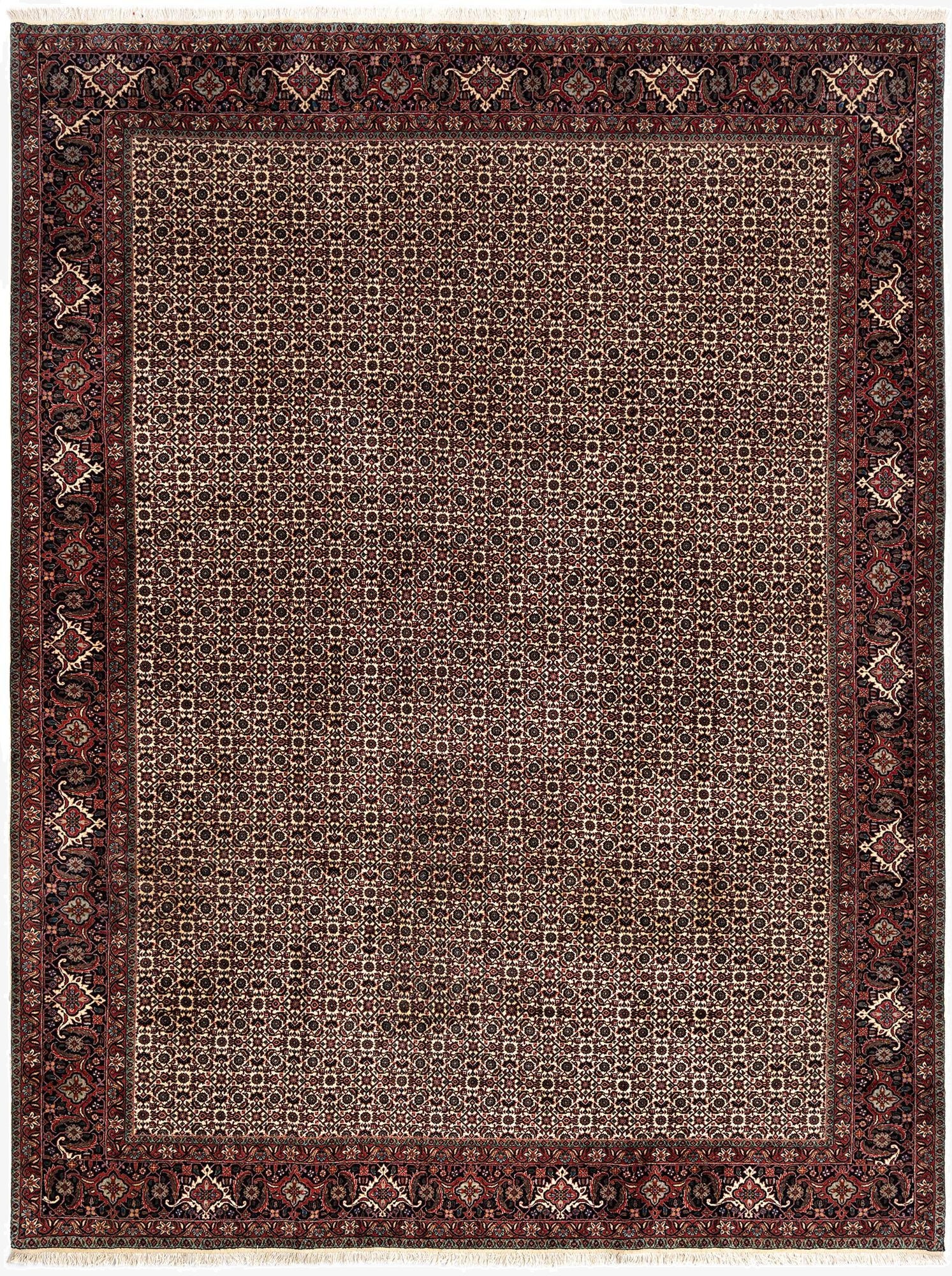  8' 6 x 11' 3 Bidjar Wool Rug