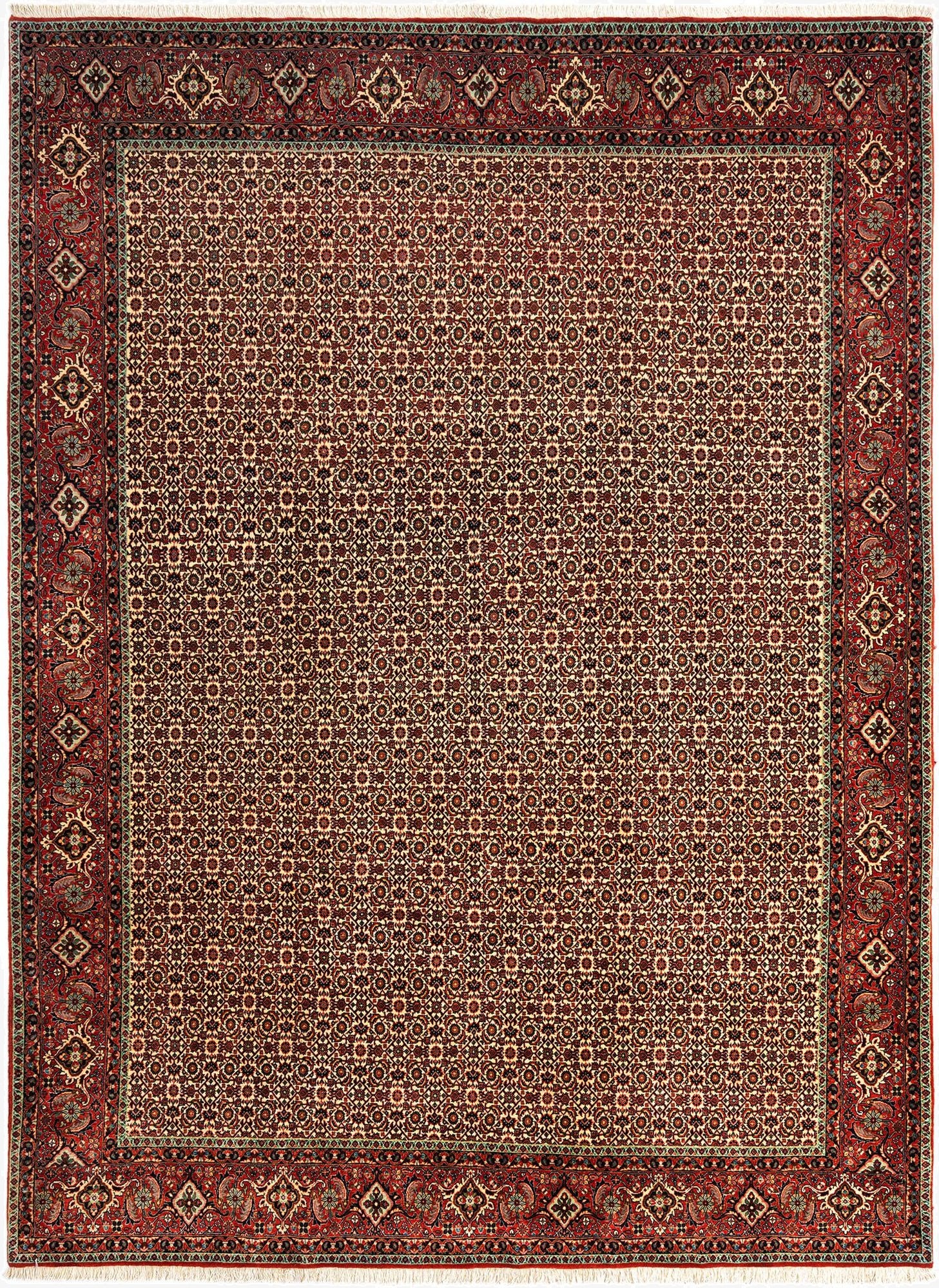  8' 6 x 11' 6 Bidjar Wool Rug