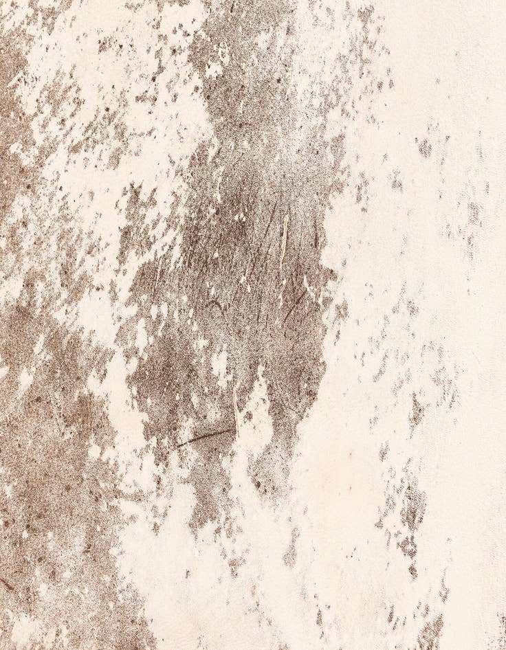 Detail image of  5' 11 x 6' 5 Cowhide Leather Rug